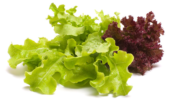 Популярные виды зелёных салатов