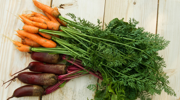 Чем полезна ботва моркови, редиски и свеклы