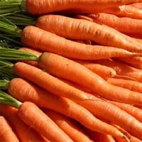 http://www.gurmania.ru/img/articles/diets/carrots.jpg